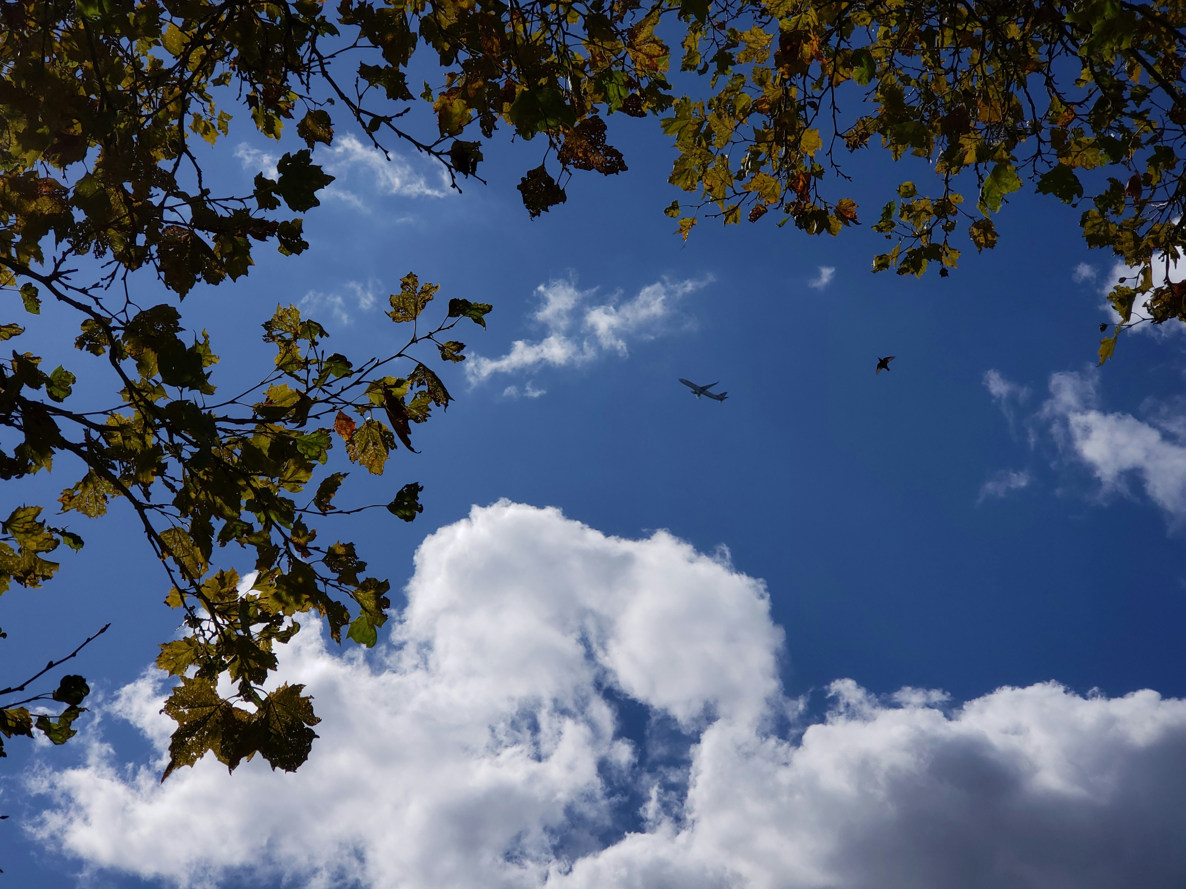 Photo by mohammedshakil