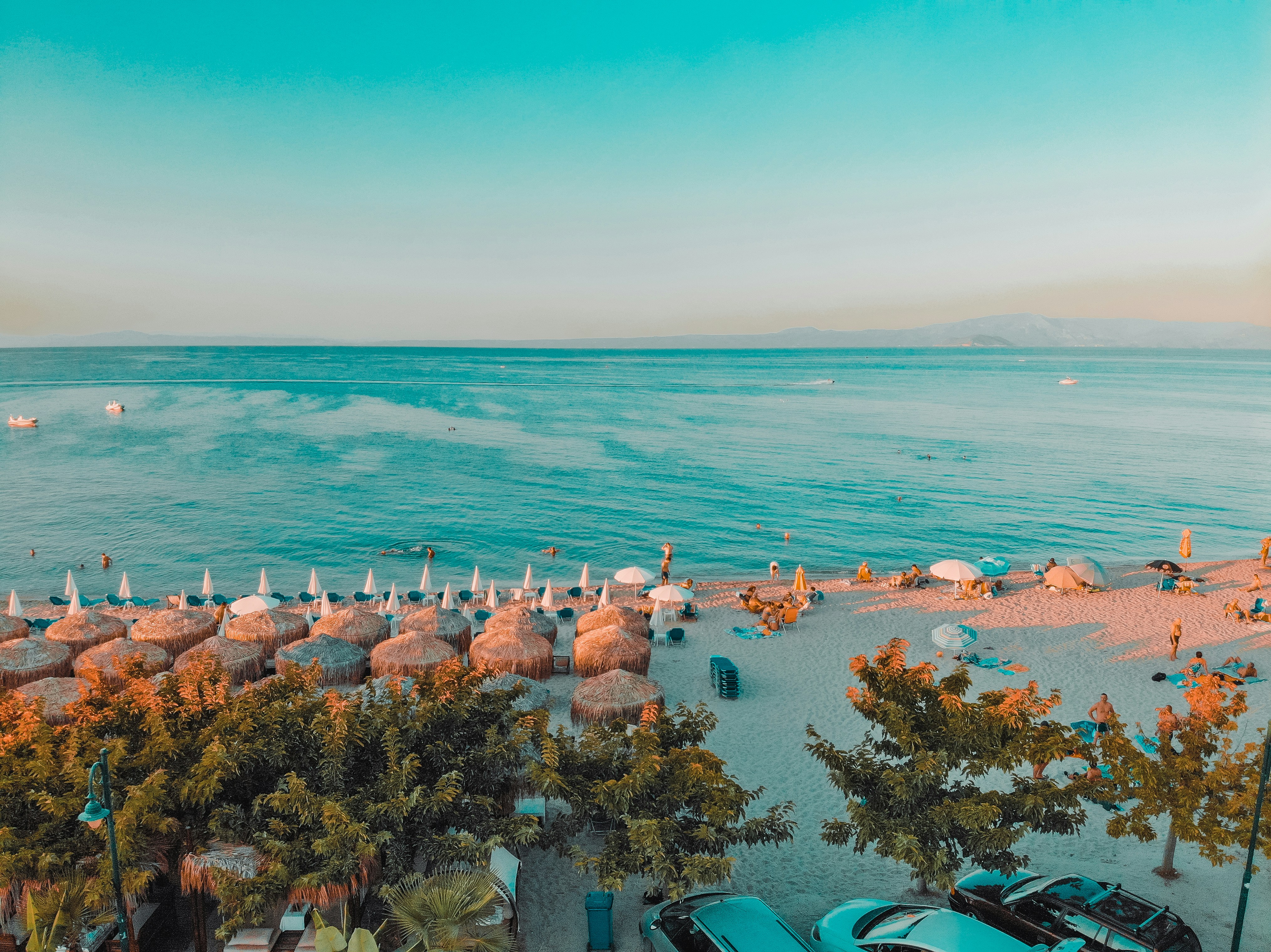 aerial photography of green leafed trees and sea