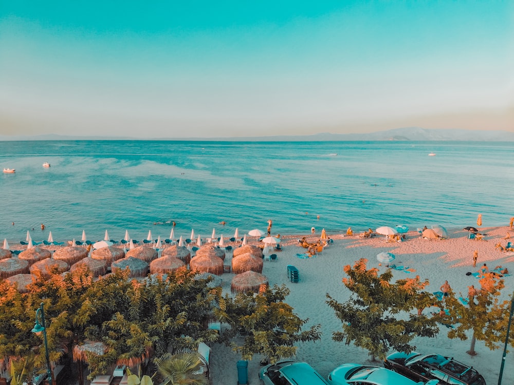 aerial photography of green leafed trees and sea