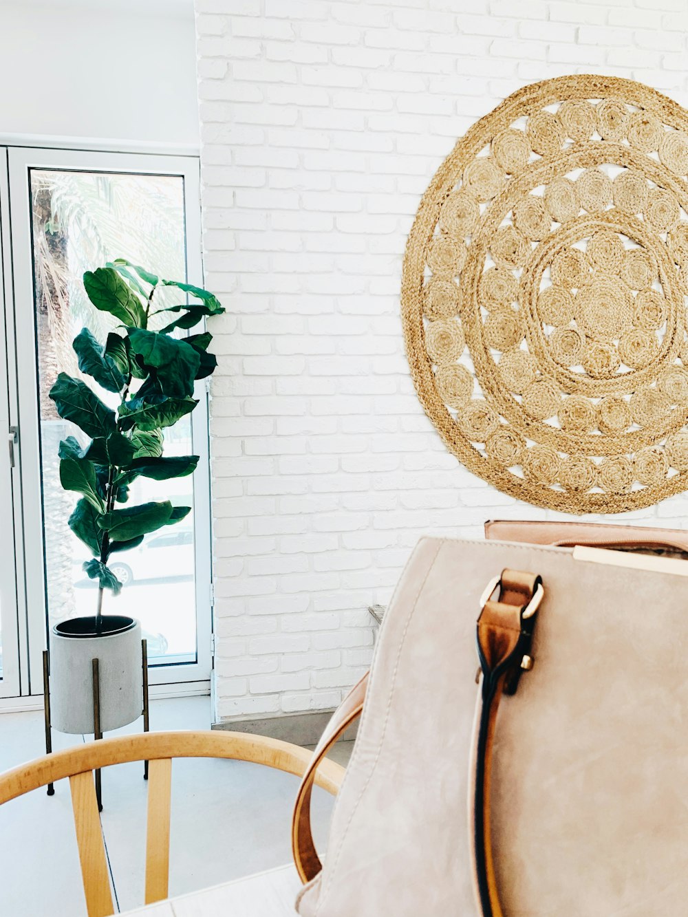 brown leather belt and green leafed indoor plant