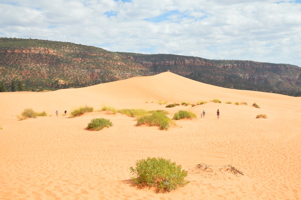 Fotografie einer Person, die tagsüber in der Wüste steht
