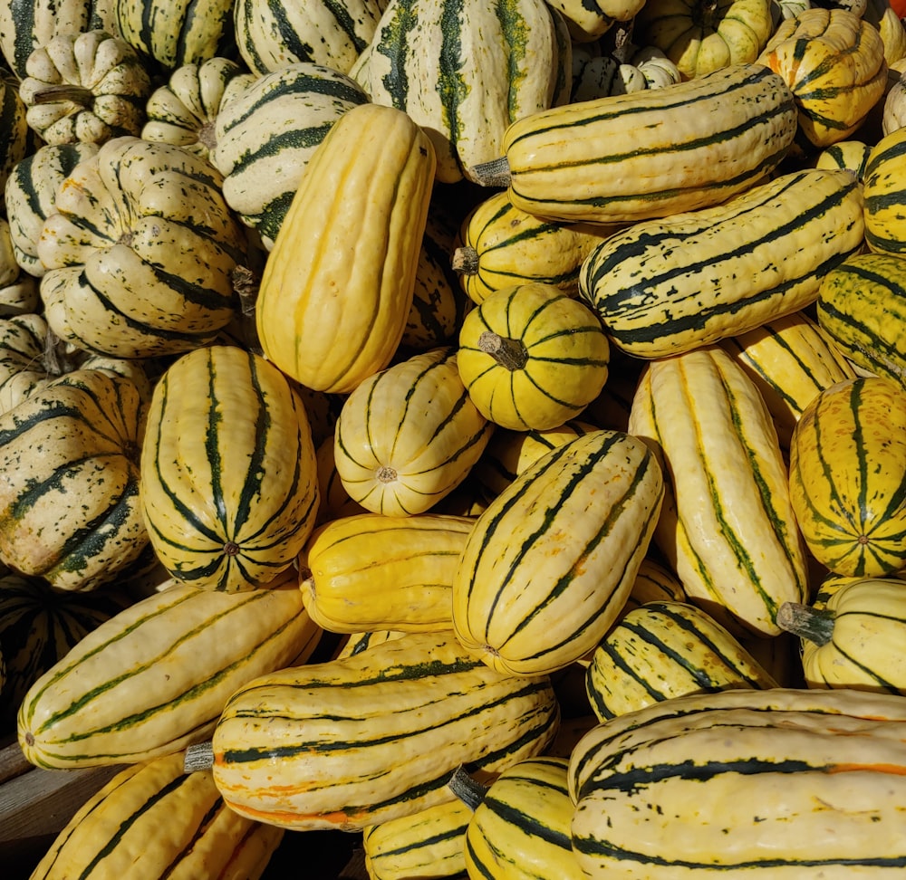 yellow squash lot