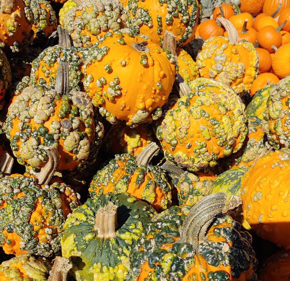 yellow pumpkins