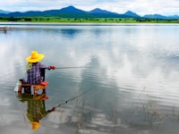 Agroturystyka, wędkowanie Gospodarstwo "Złote Stawy"