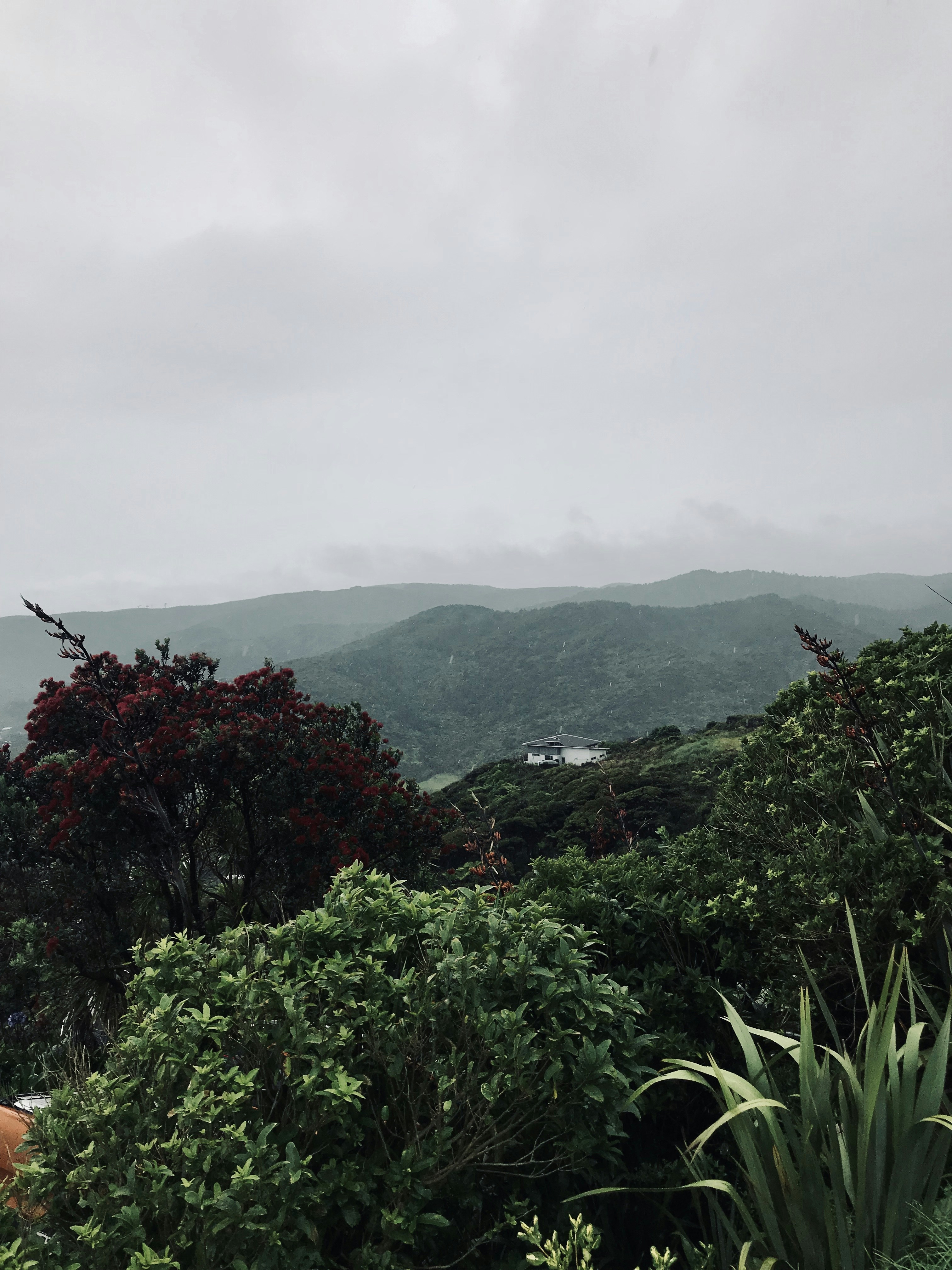 Photo by lachlancormie