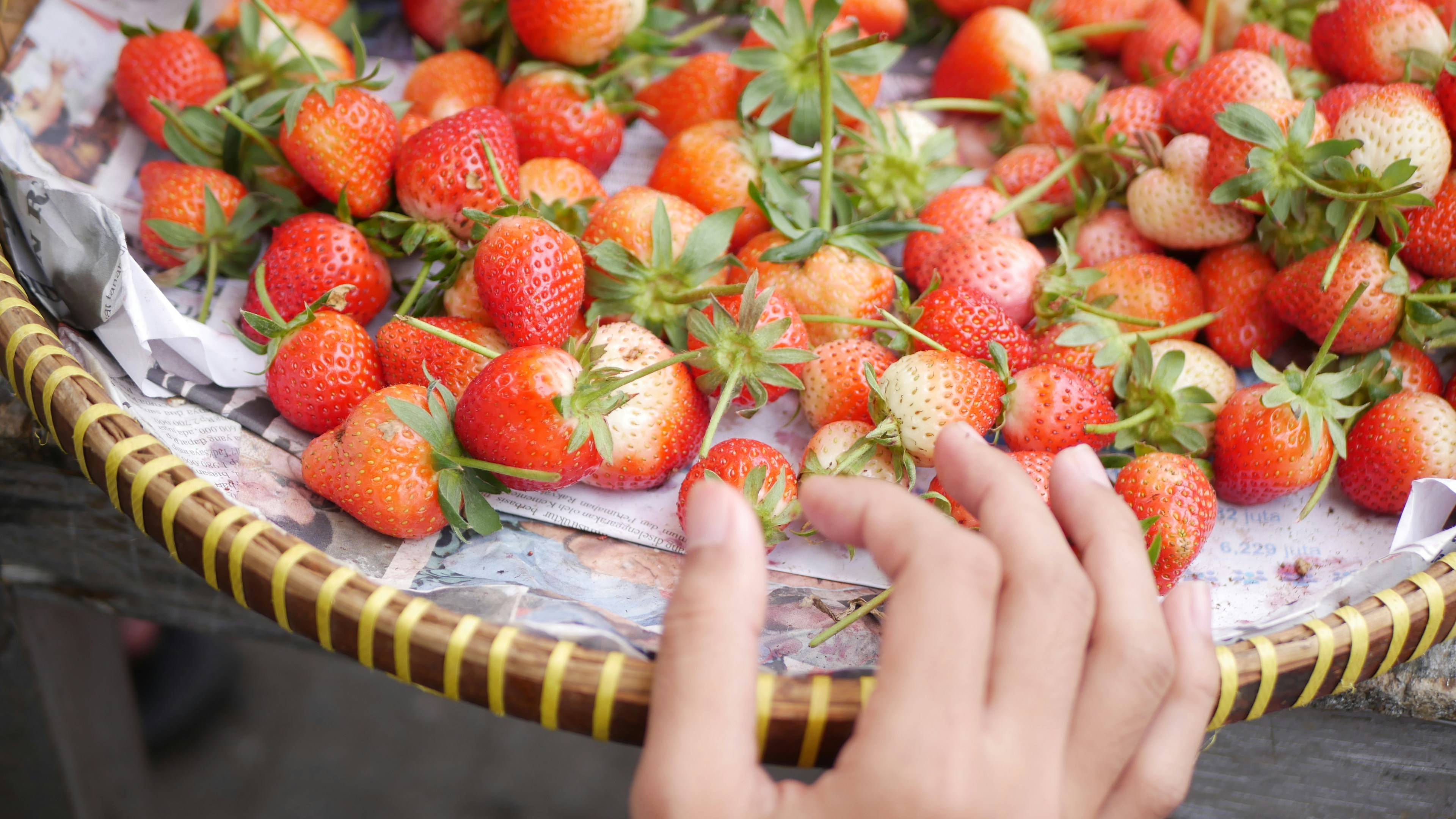 tray of strawberries