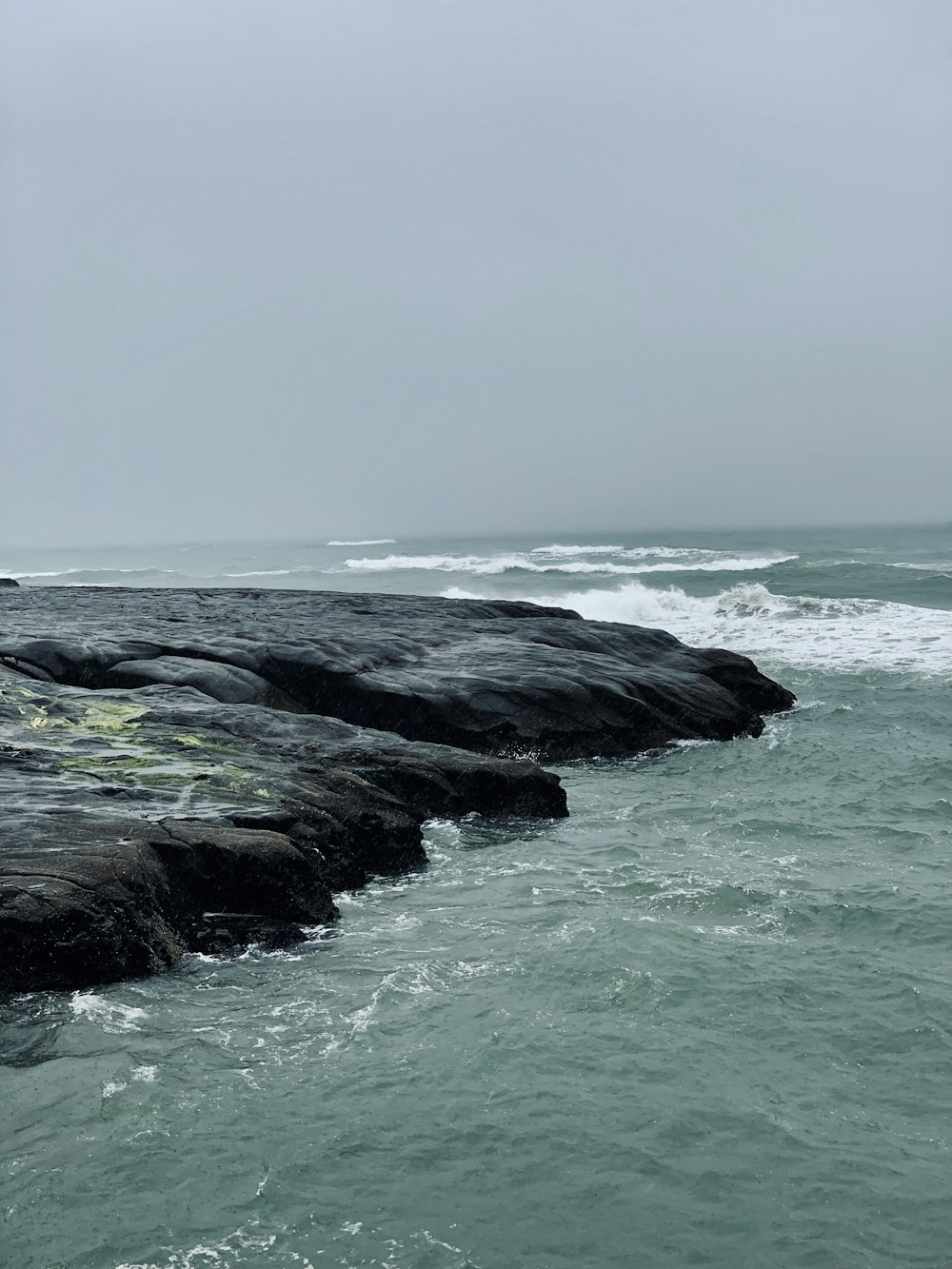 photography of seashore during daytime