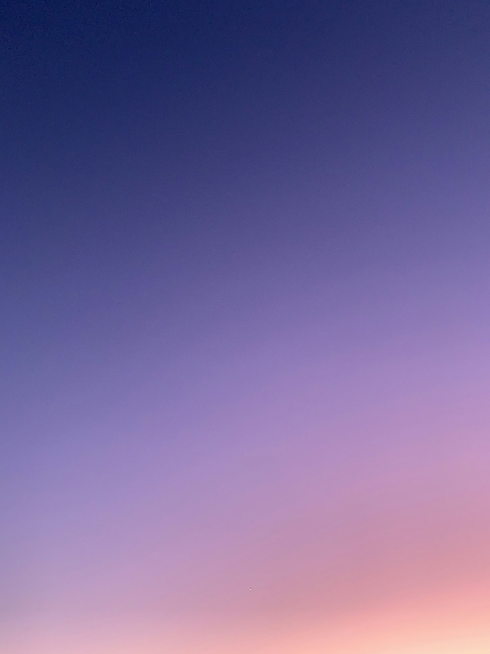 Supply Chain Optimization