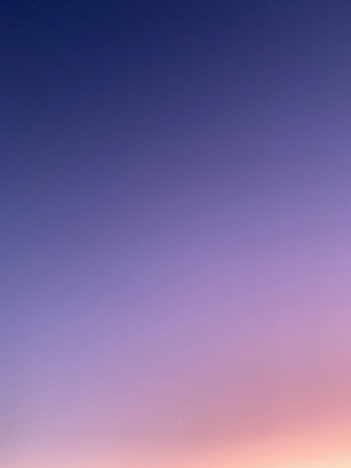 What Every Immigration Law Firm Needs from Practice Management Software