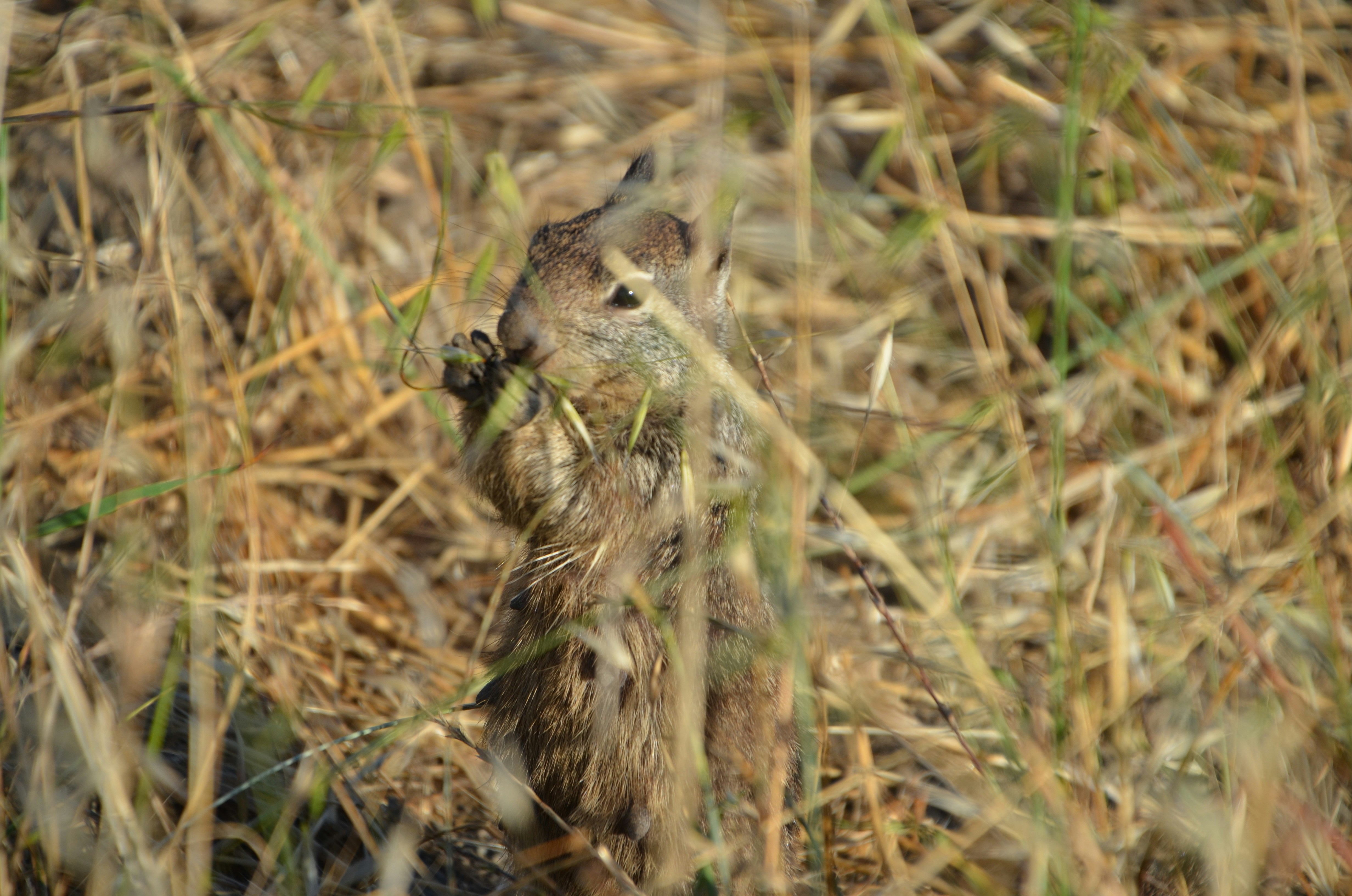 Photo by chapelbeach