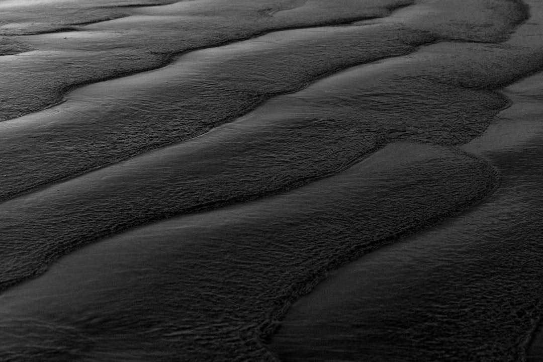 photo of Tofino Dune near Lone Cone