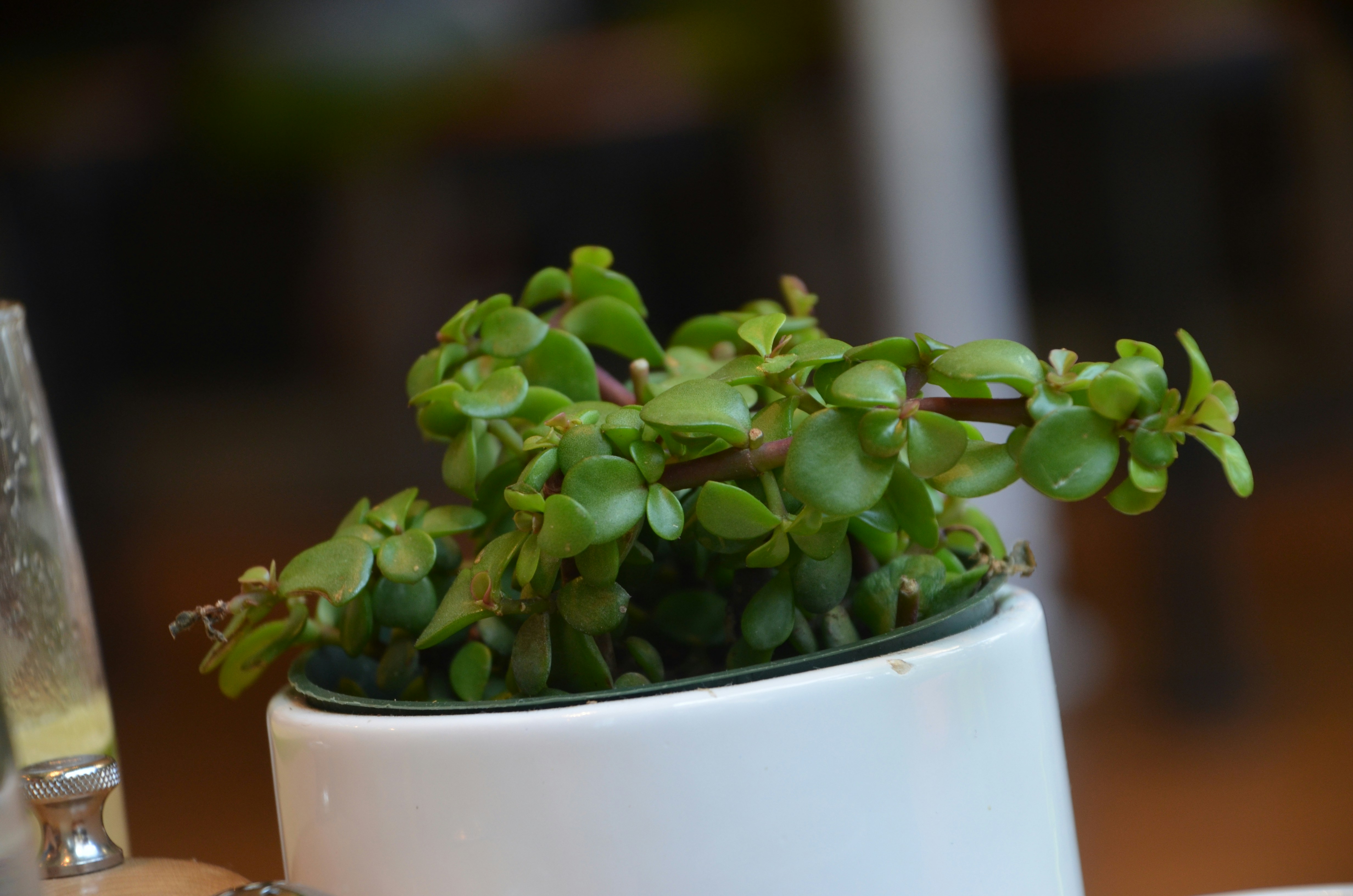 Photo by chapelbeach