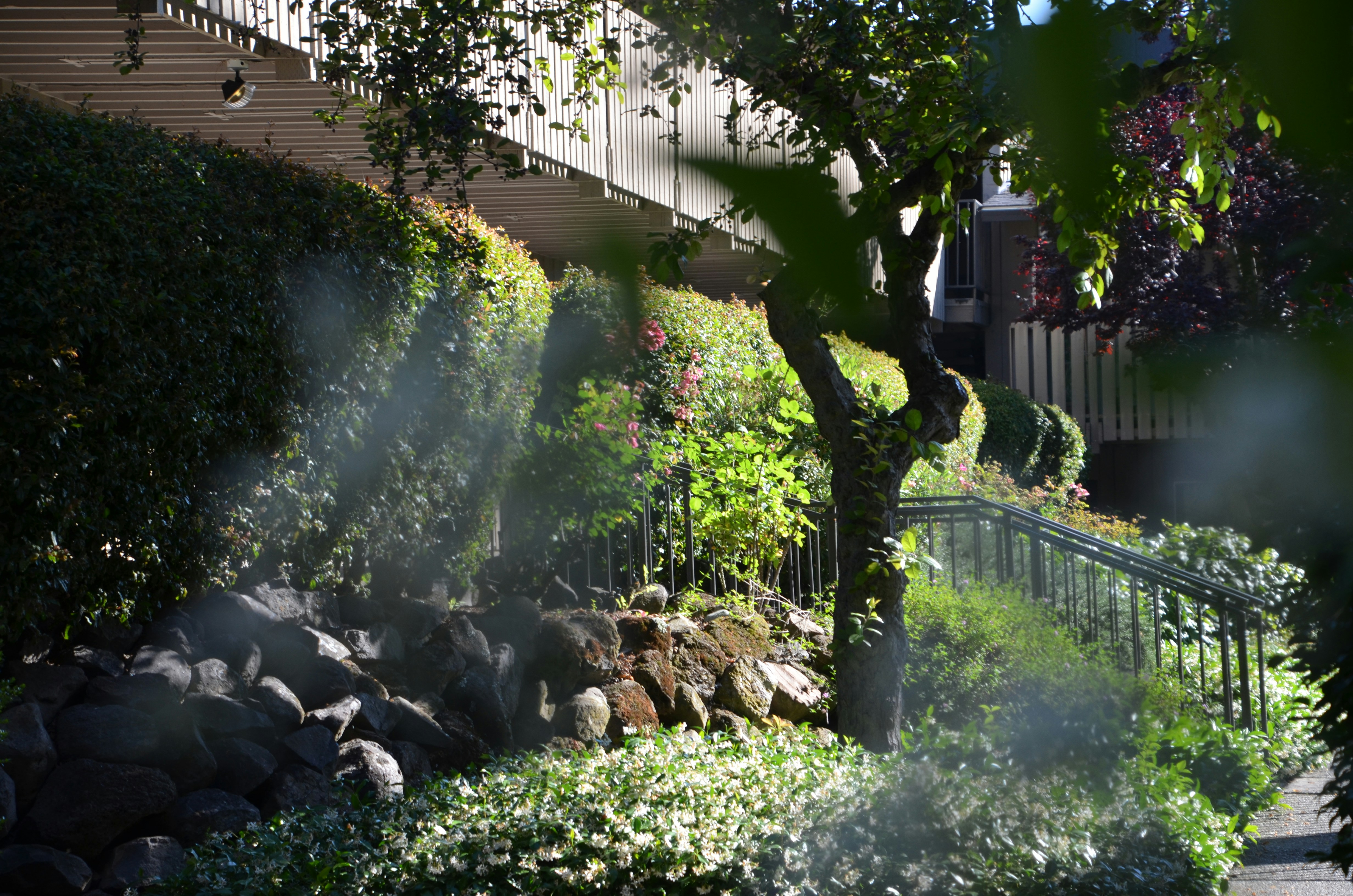 Photo by chapelbeach