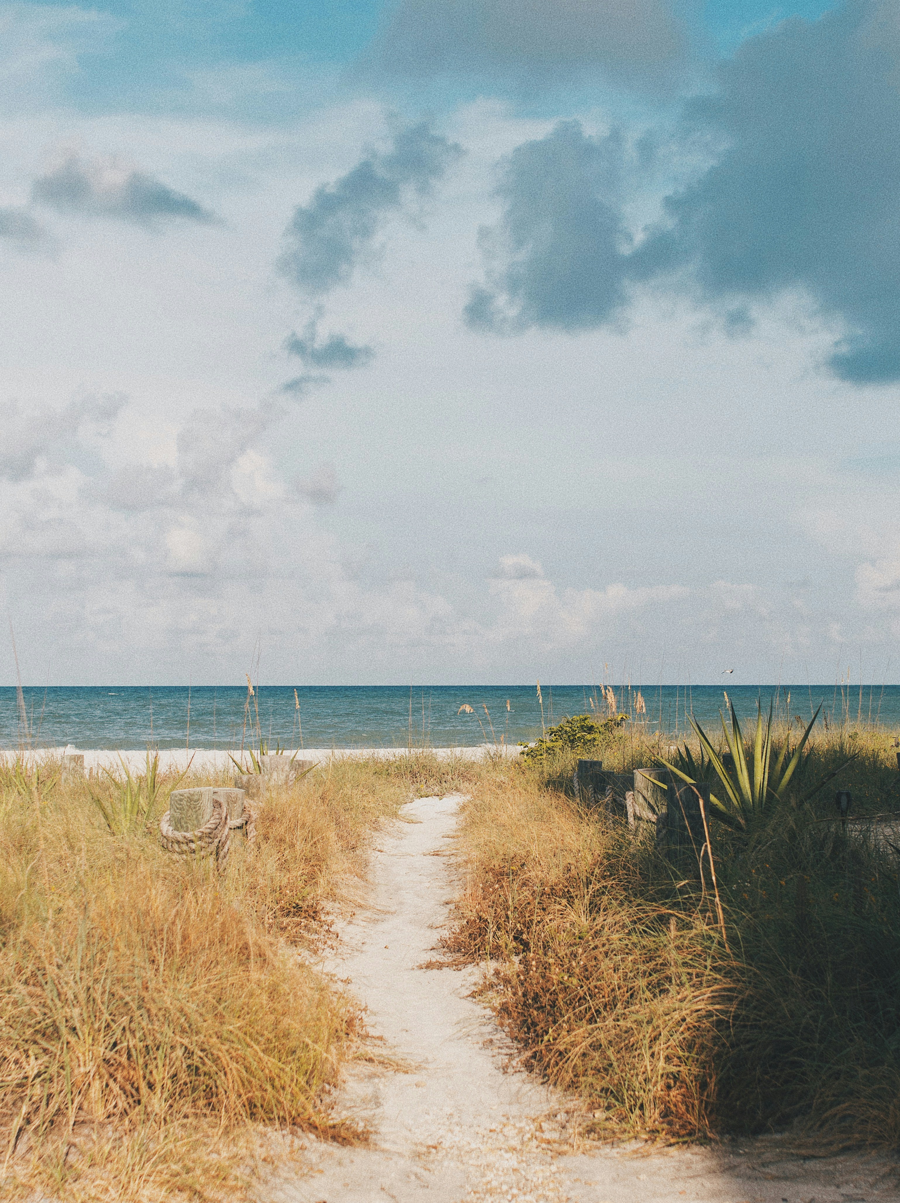 Photo by christian_santizo