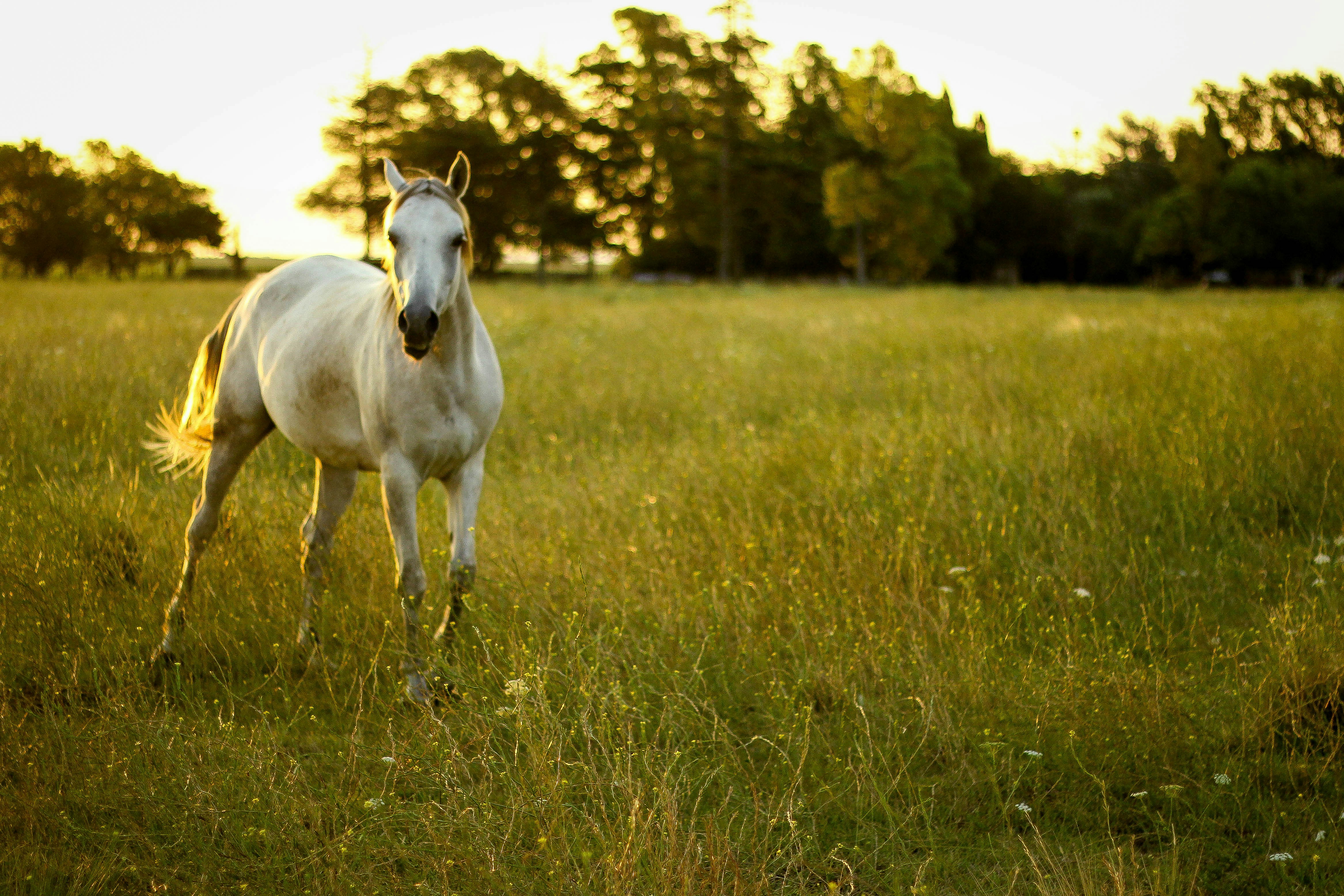 Photo by candegrafias