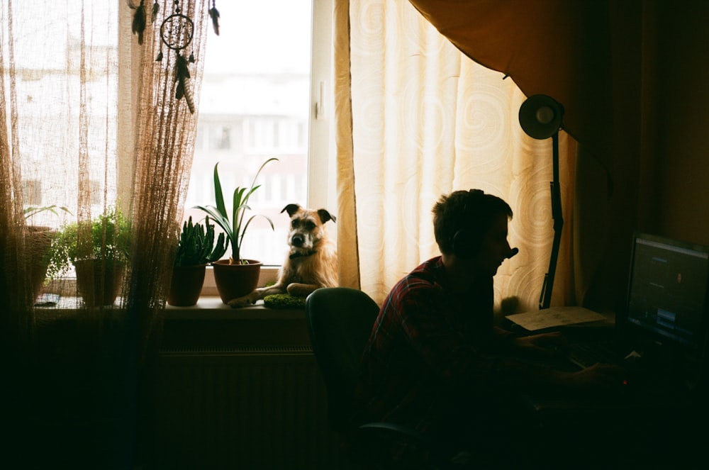 silhouette of man sitting beside table