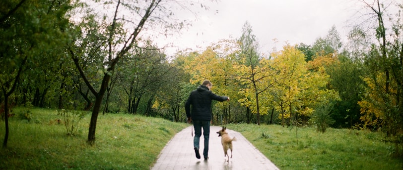 man beside dog walking in pathway surrounded by trees