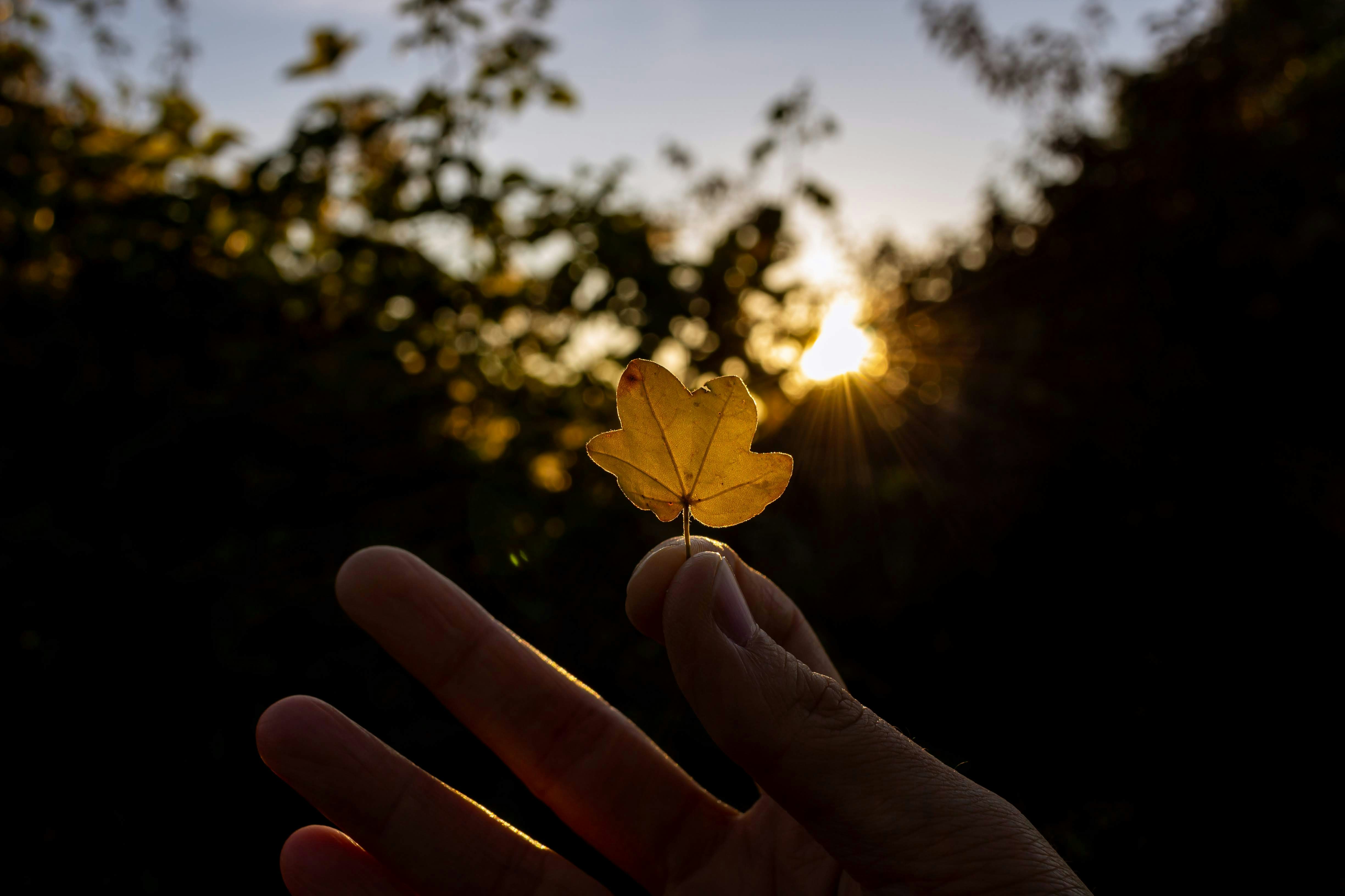 Photo by svalenas