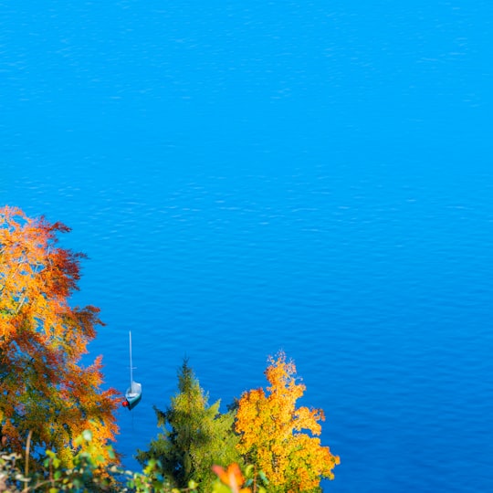 blue water in Traunsee Austria