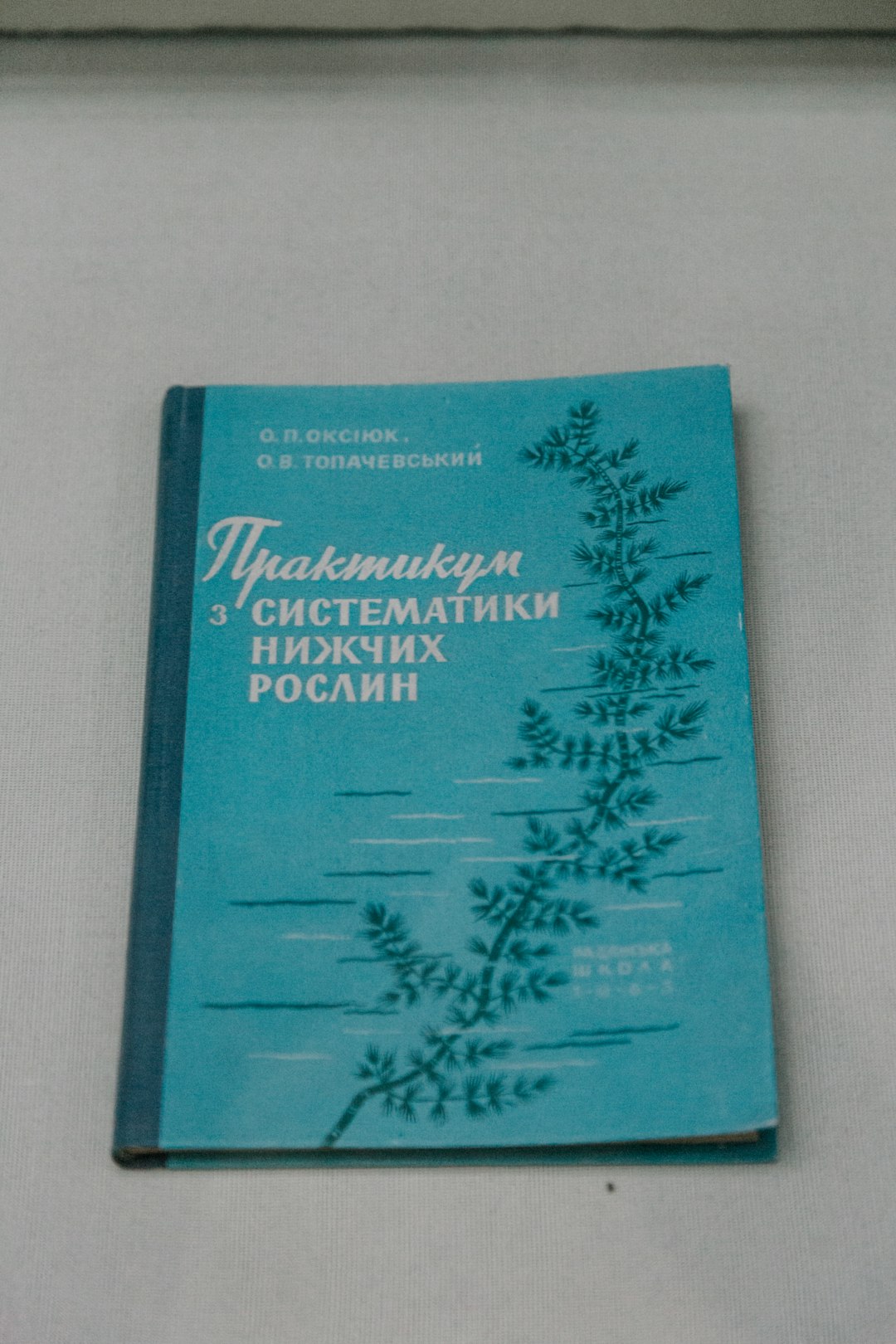 blue and white book