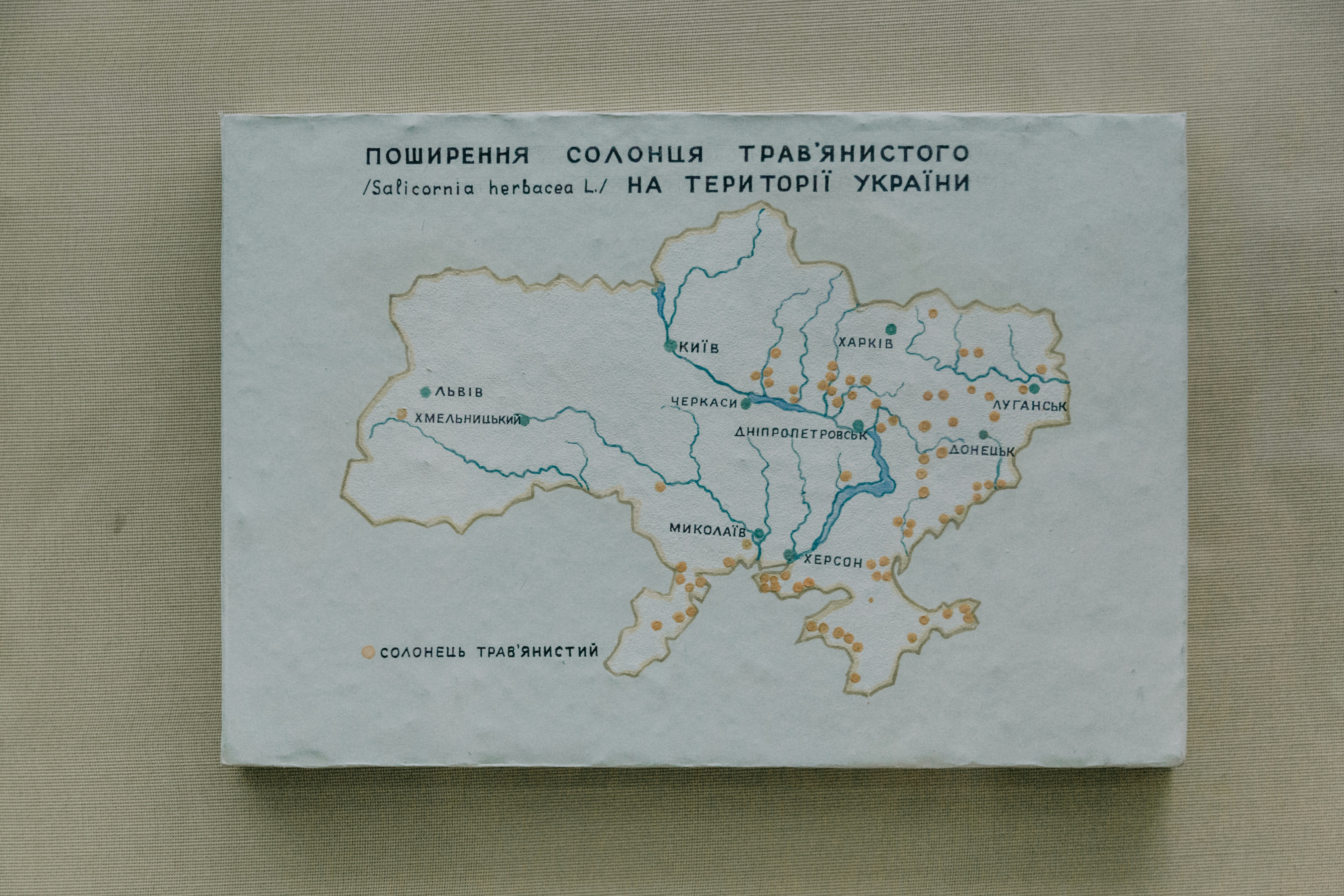 Regional THCa Quality Map: lab Transparency, Potency Patterns and Brands worth Considering