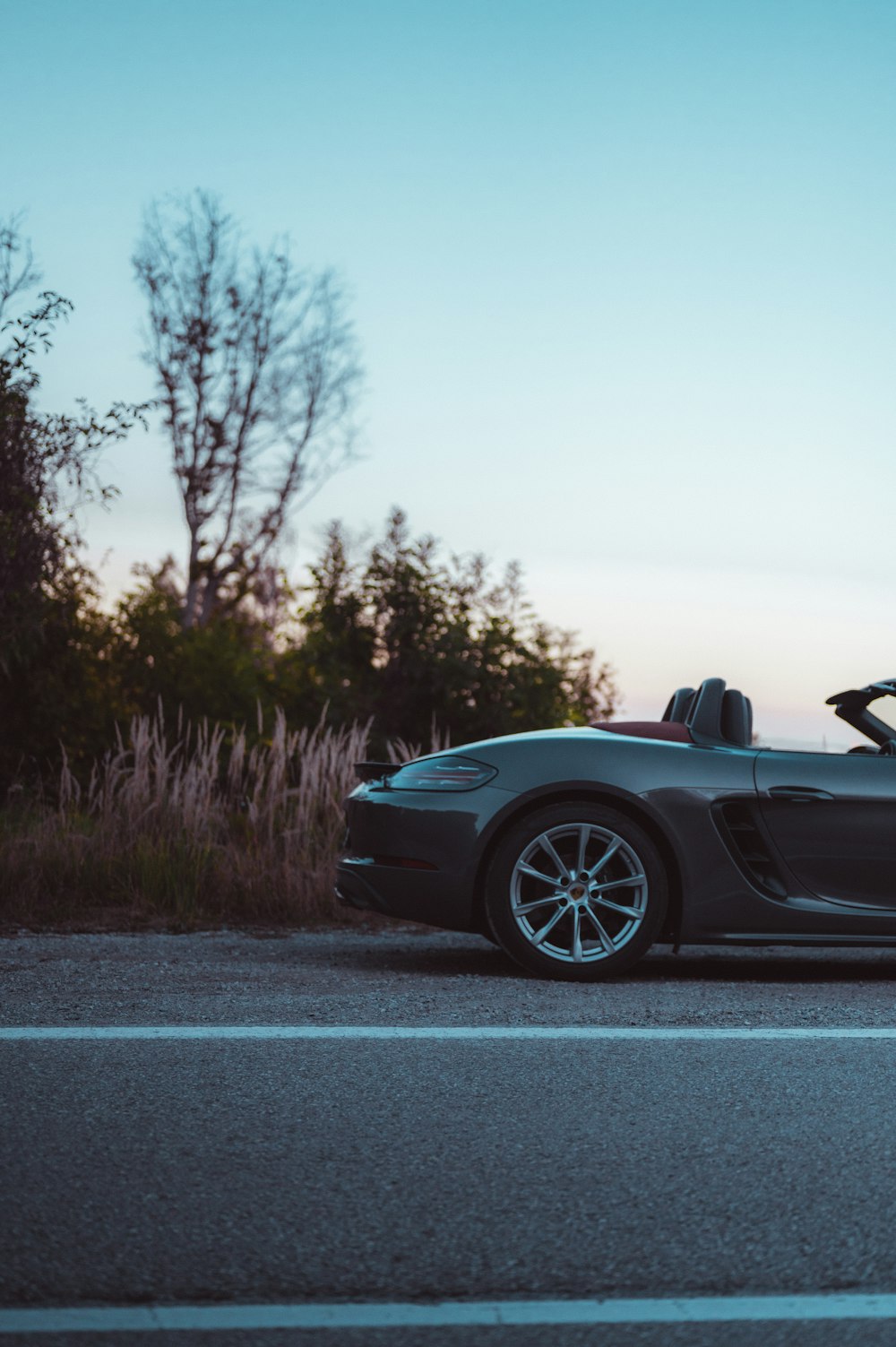 black convertible coupe beside plants