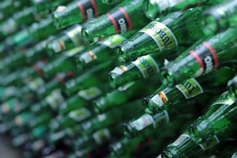 A collection of green glass bottles arranged in rows, each with a distinct label design that varies slightly in color and text.