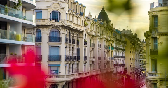 a blurry photo of a building with a red flower in the foreground