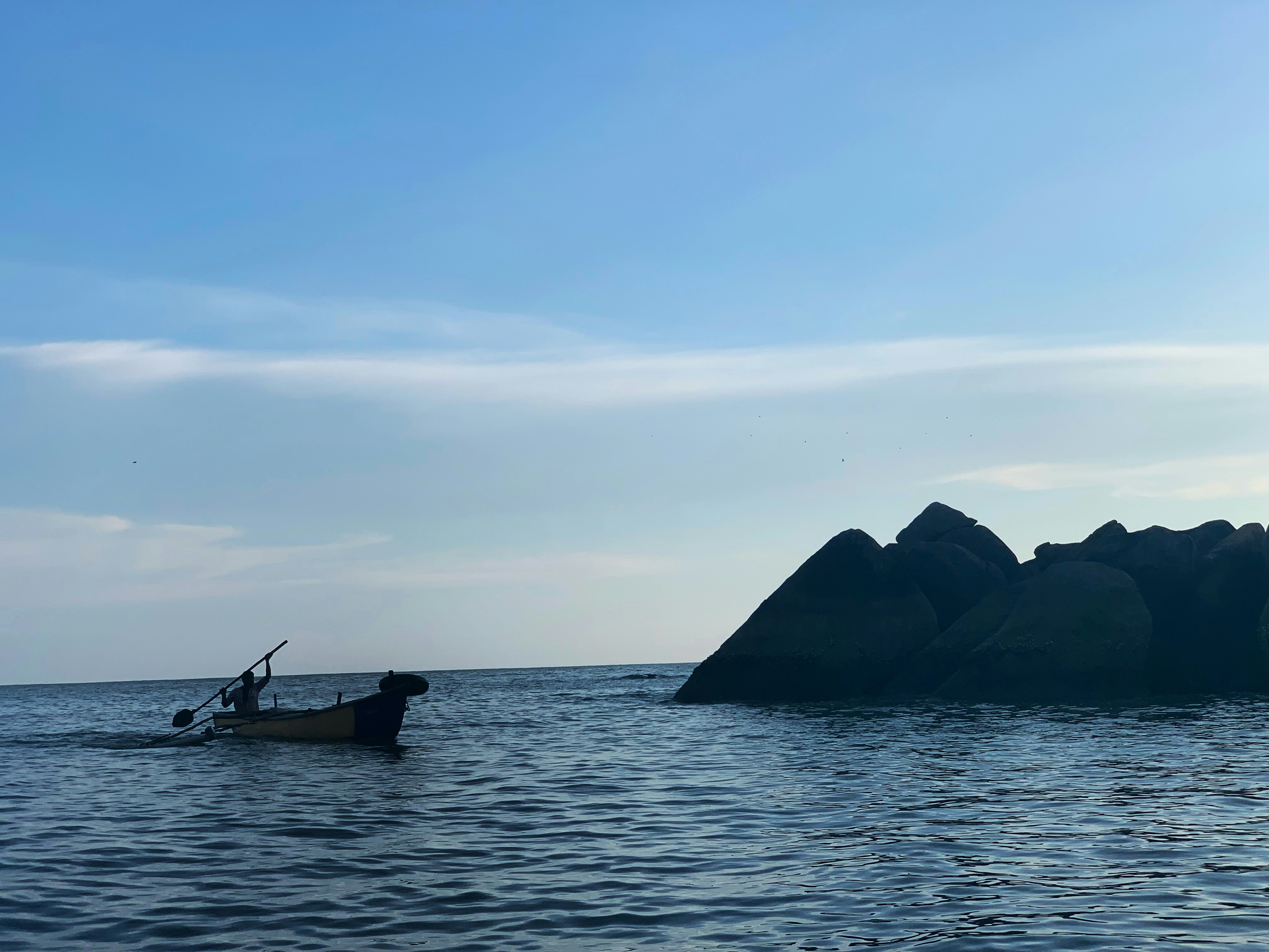 Photo by soumyakanthi