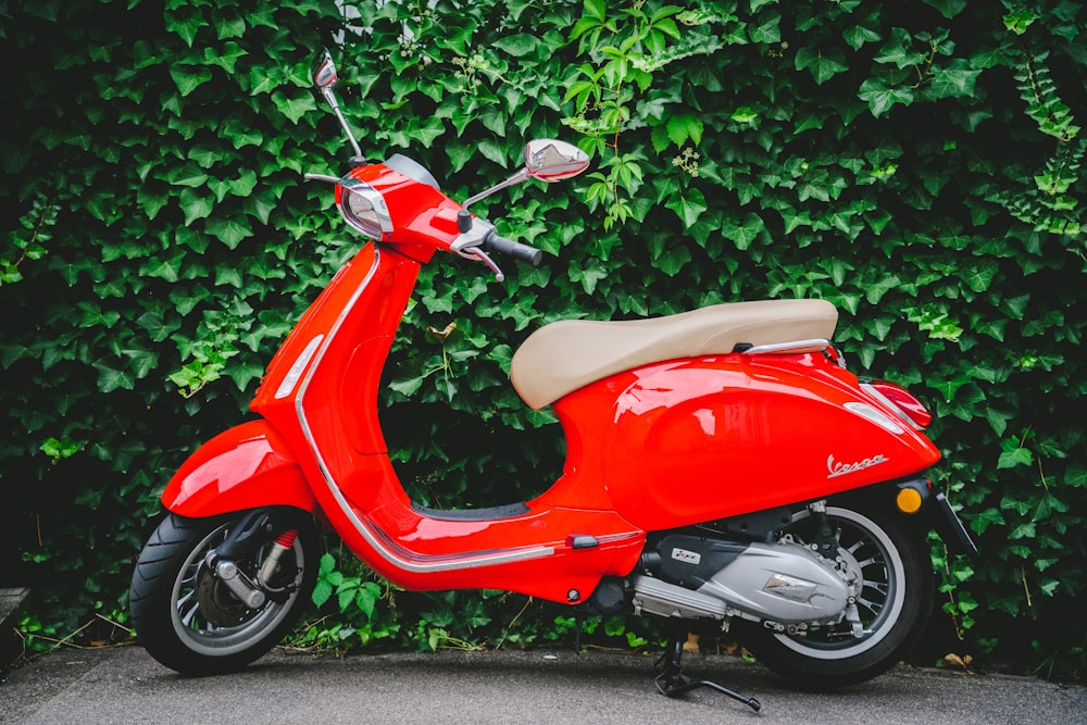red motor scooter on focus photography