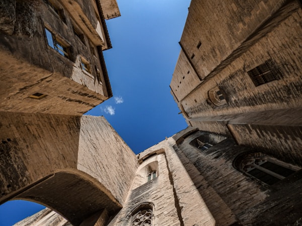 Discover Avignon: Culture, Customs, Festivals & Traditions