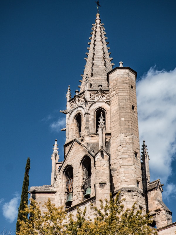 Exploring Avignon's Authentic Cuisine: Local Dishes, Restaurants & Recipes
