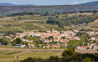 A charming rural village nestled among vast expanses of agricultural fields and vineyards. It features red-roofed houses and a prominent church with a tall steeple at the center. Lush greenery surrounds the village, with scattered trees and hills in the background. Power lines stretch across the landscape, adding a modern touch to the bucolic scene.