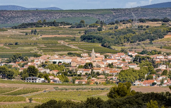 A charming rural village nestled among vast expanses of agricultural fields and vineyards. It features red-roofed houses and a prominent church with a tall steeple at the center. Lush greenery surrounds the village, with scattered trees and hills in the background. Power lines stretch across the landscape, adding a modern touch to the bucolic scene.