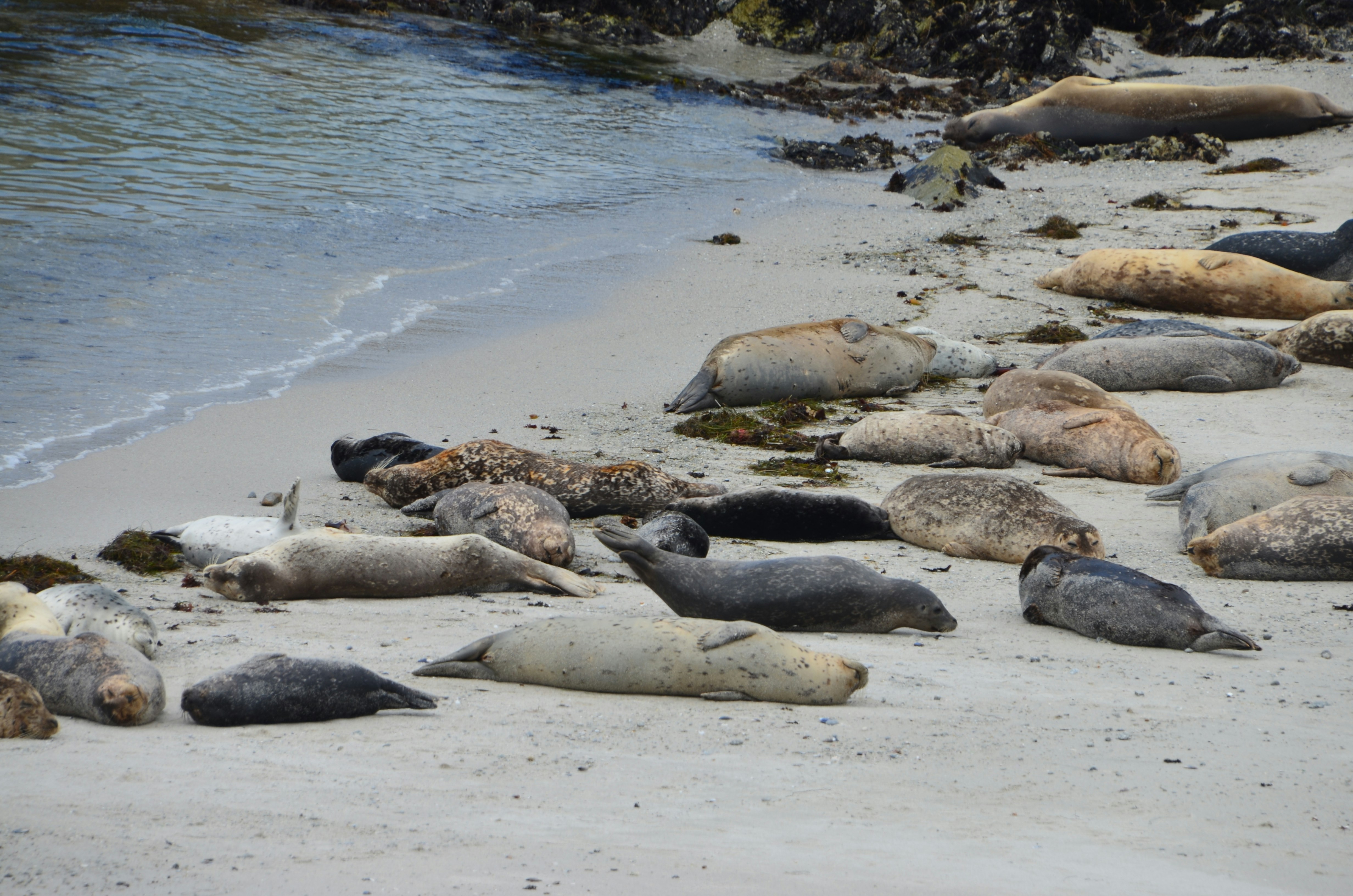 Photo by chapelbeach