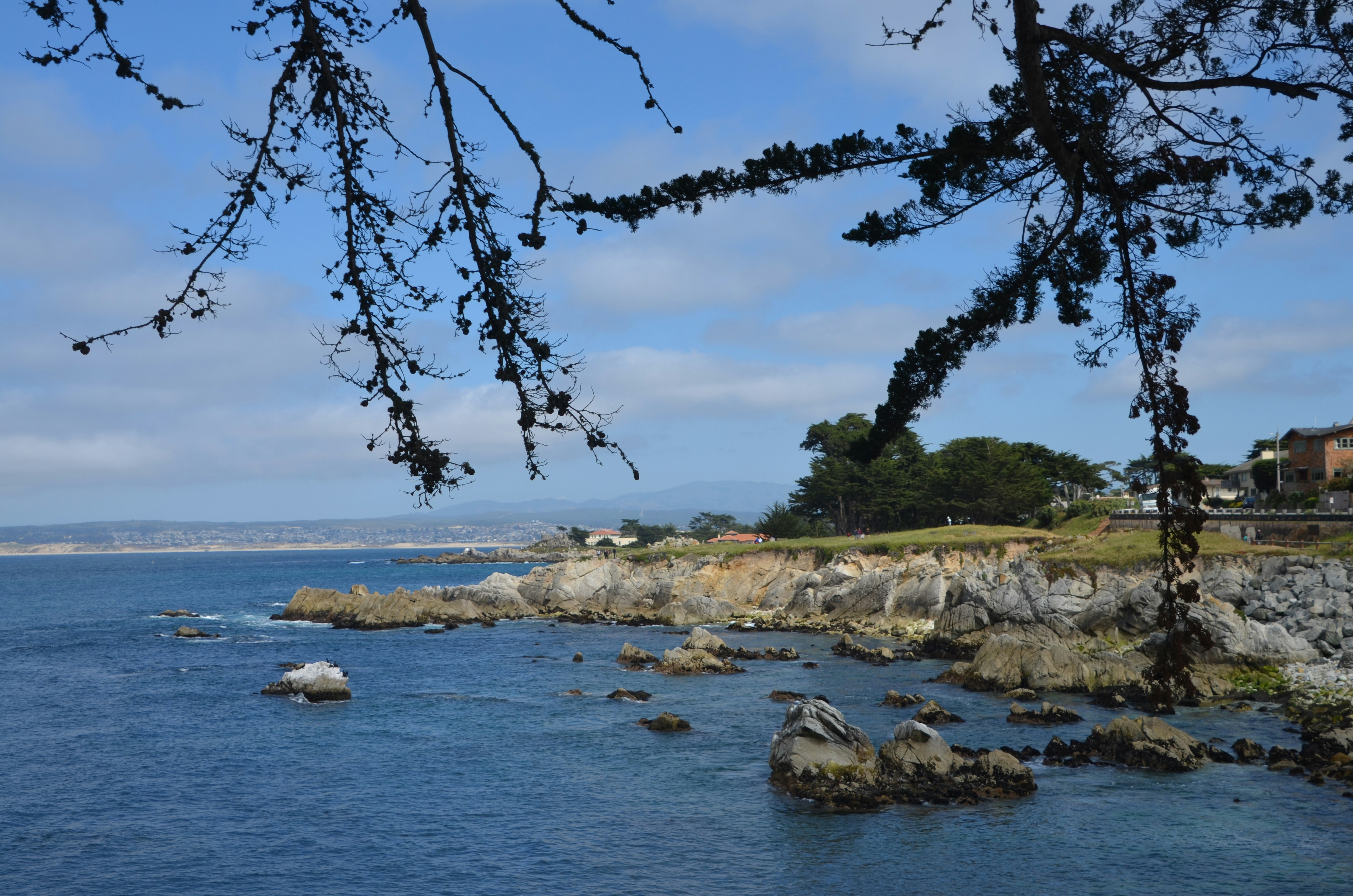 Photo by chapelbeach