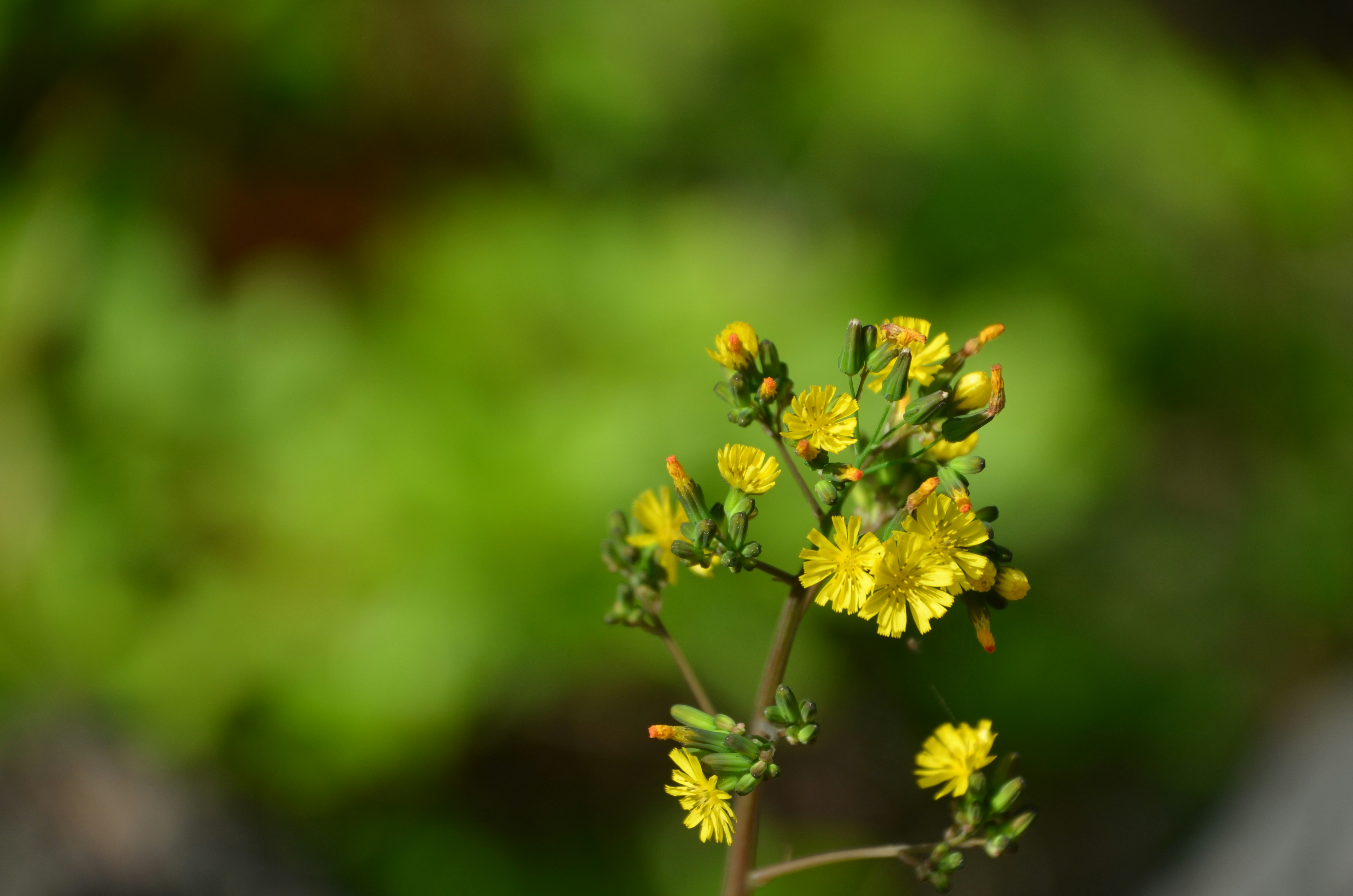 Photo by chapelbeach