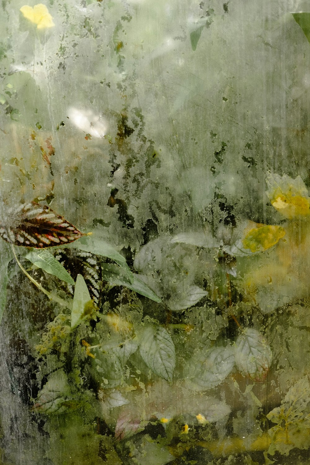 Una pintura de una mariposa sentada encima de una planta