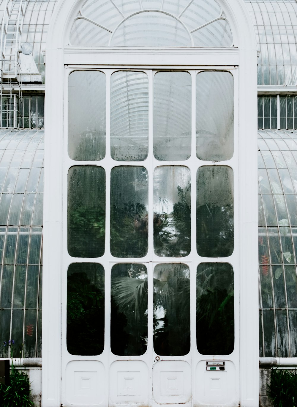 white concrete building