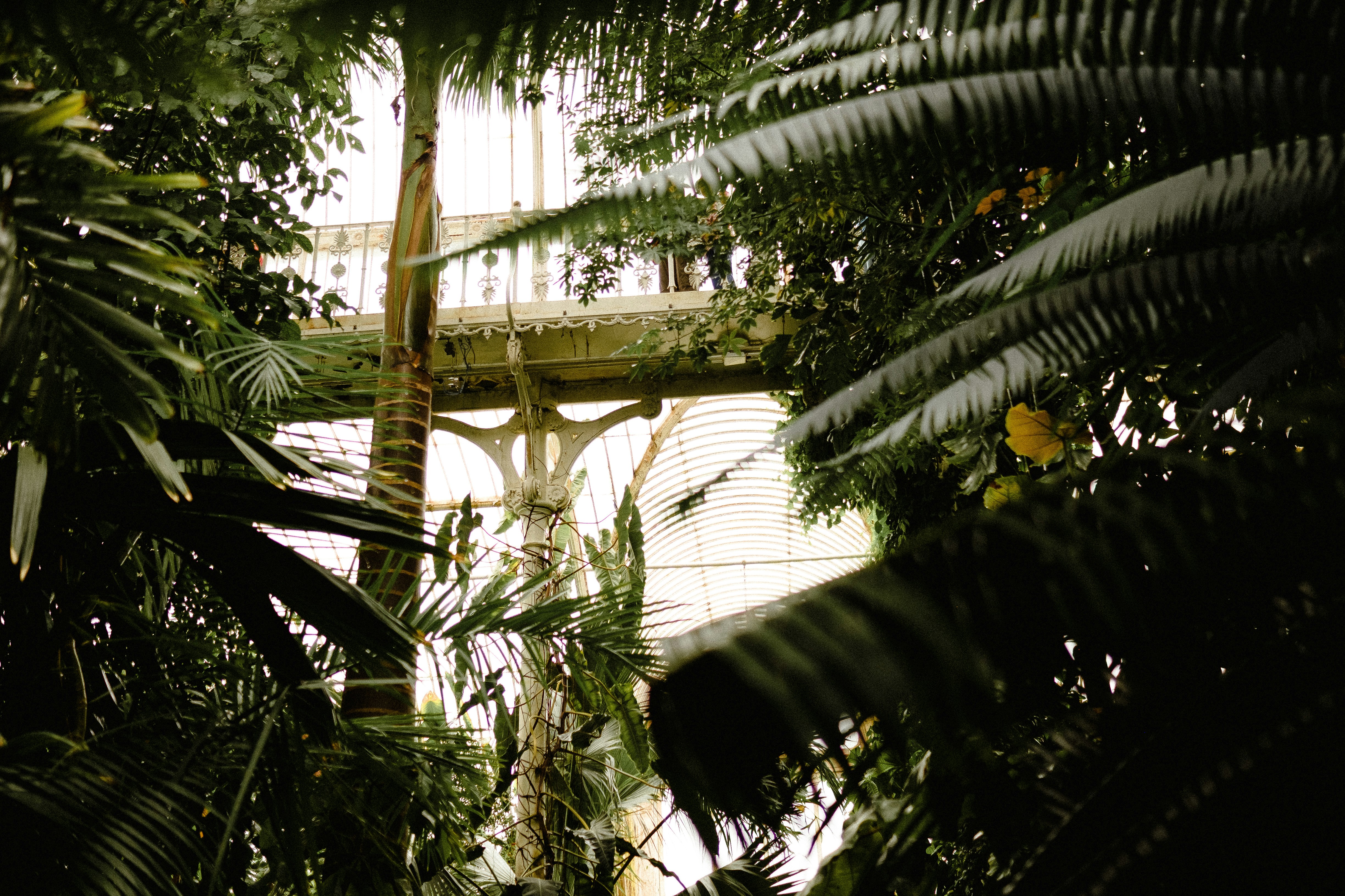 Photo by anniespratt