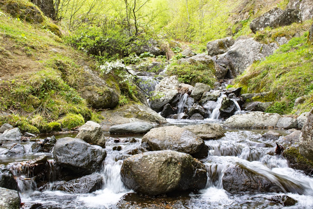 rio que corre com pedras ao lado da grama