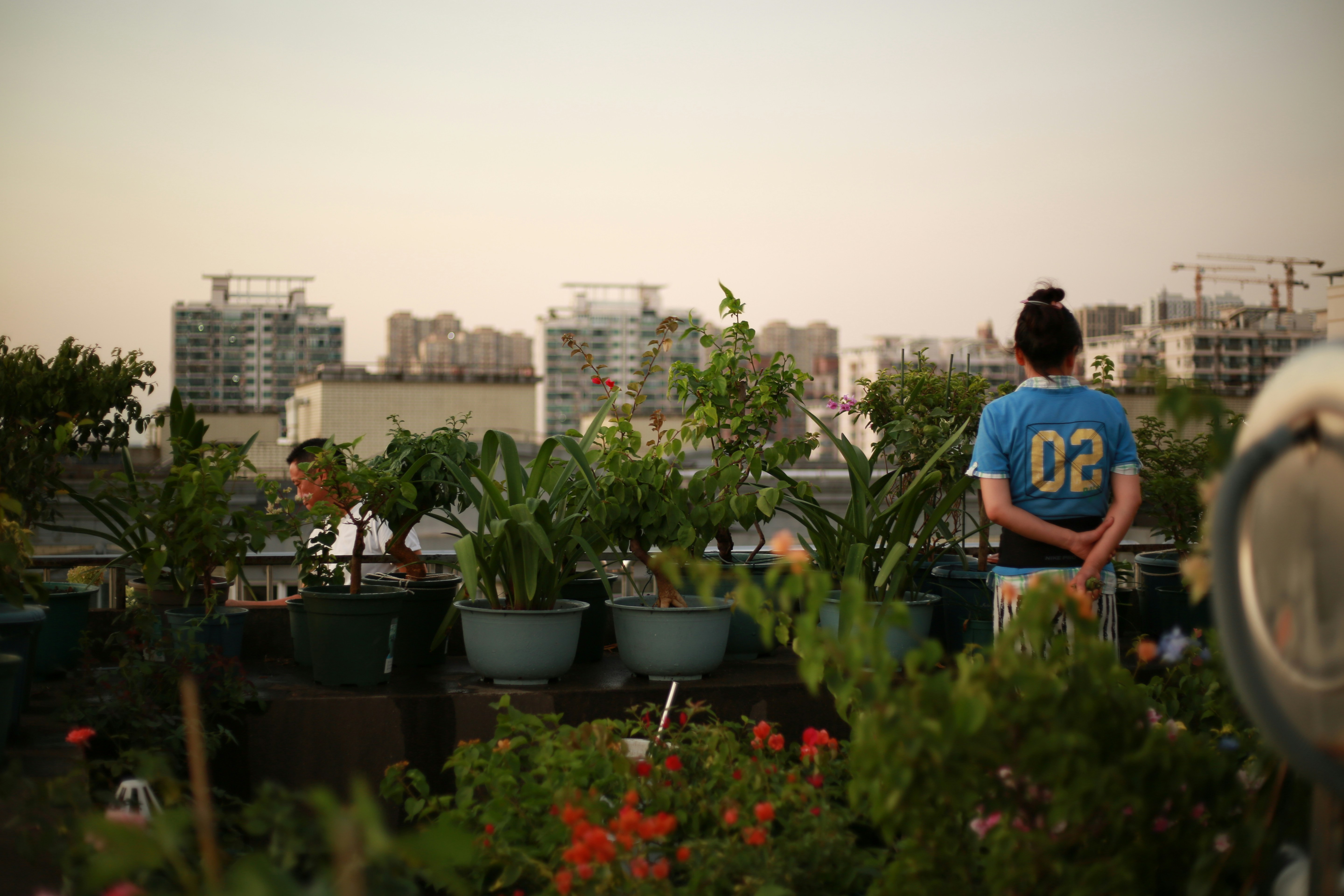 Woman enjoying plants in cafe