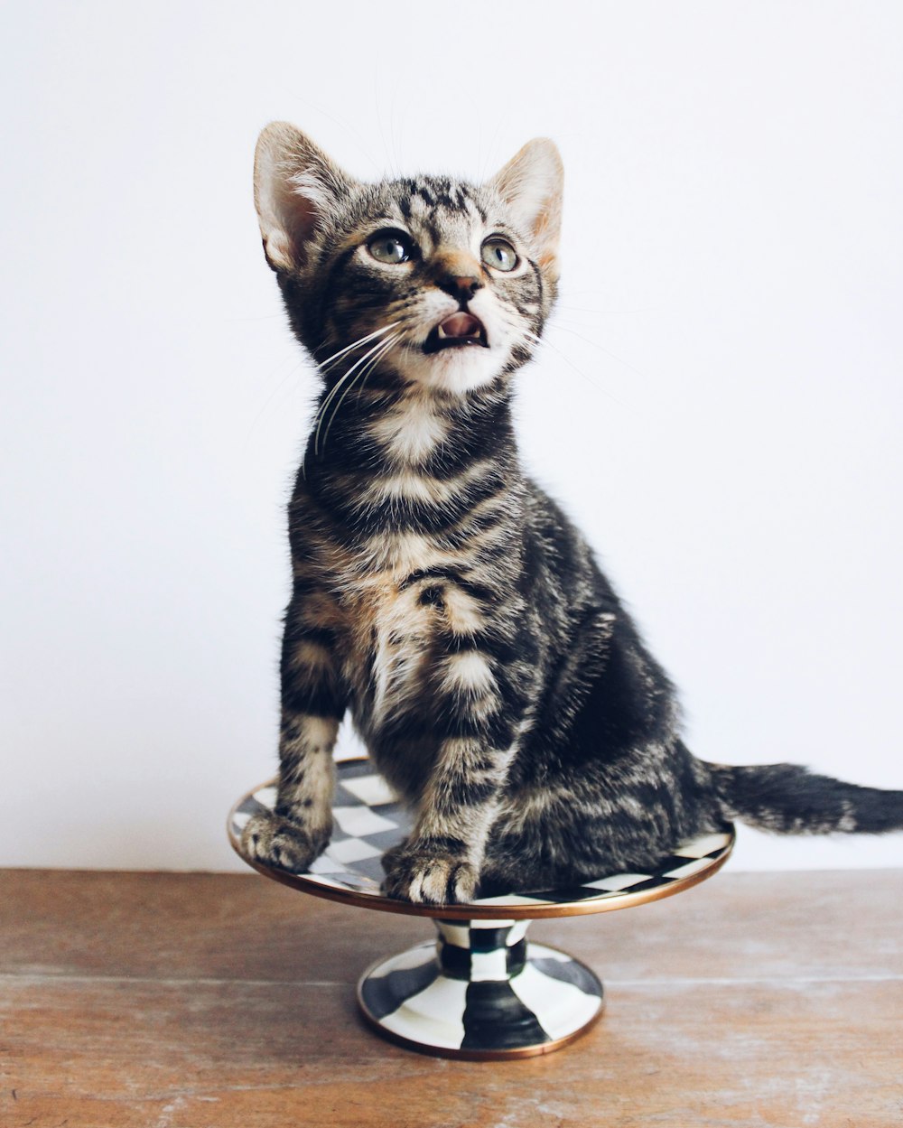 brown tabby kitten sitting on table