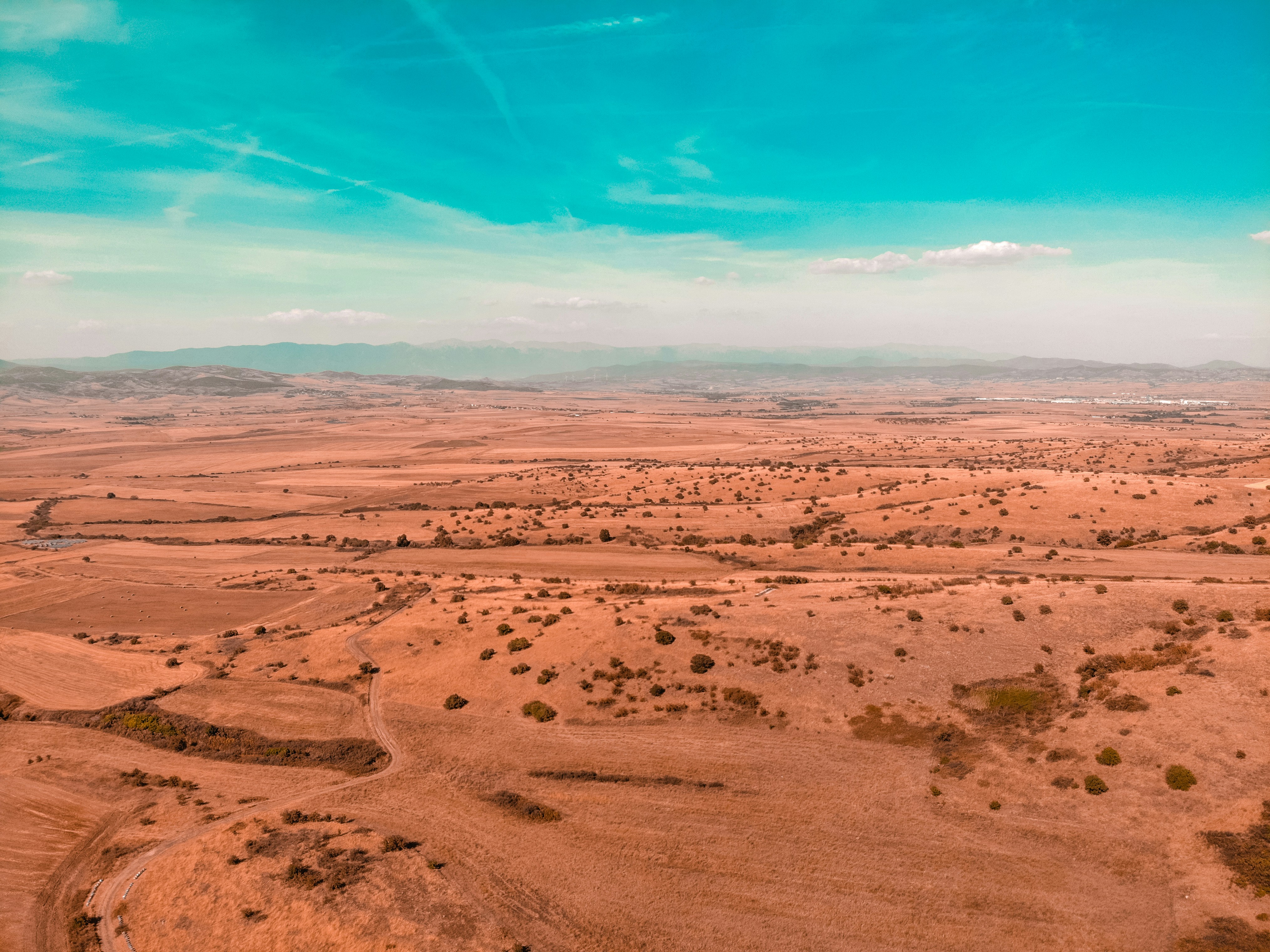 aerial view of dessert