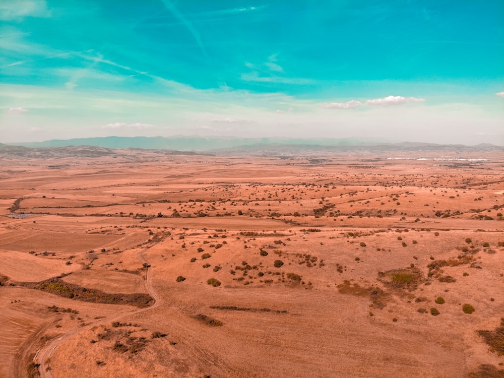 aerial view of dessert