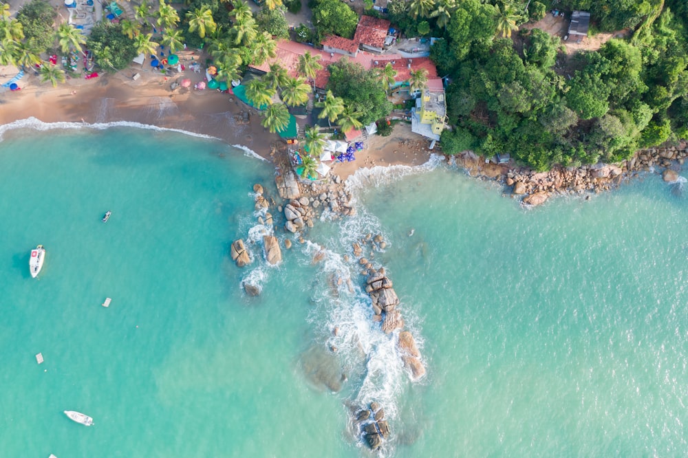 buildings and trees on island during day