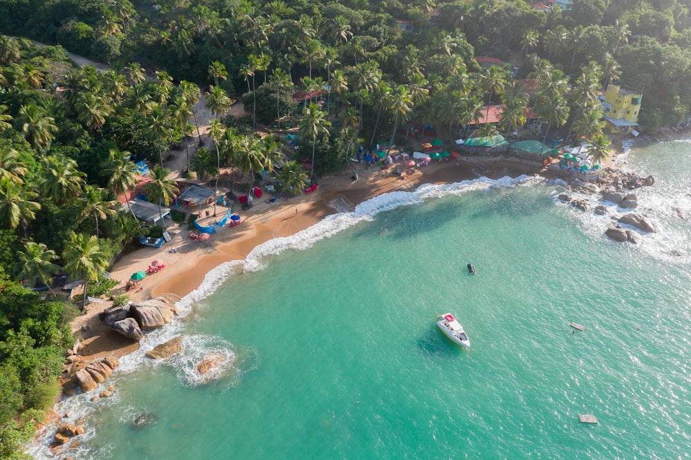 white speed boat on sea near shore and trees in aerial photography