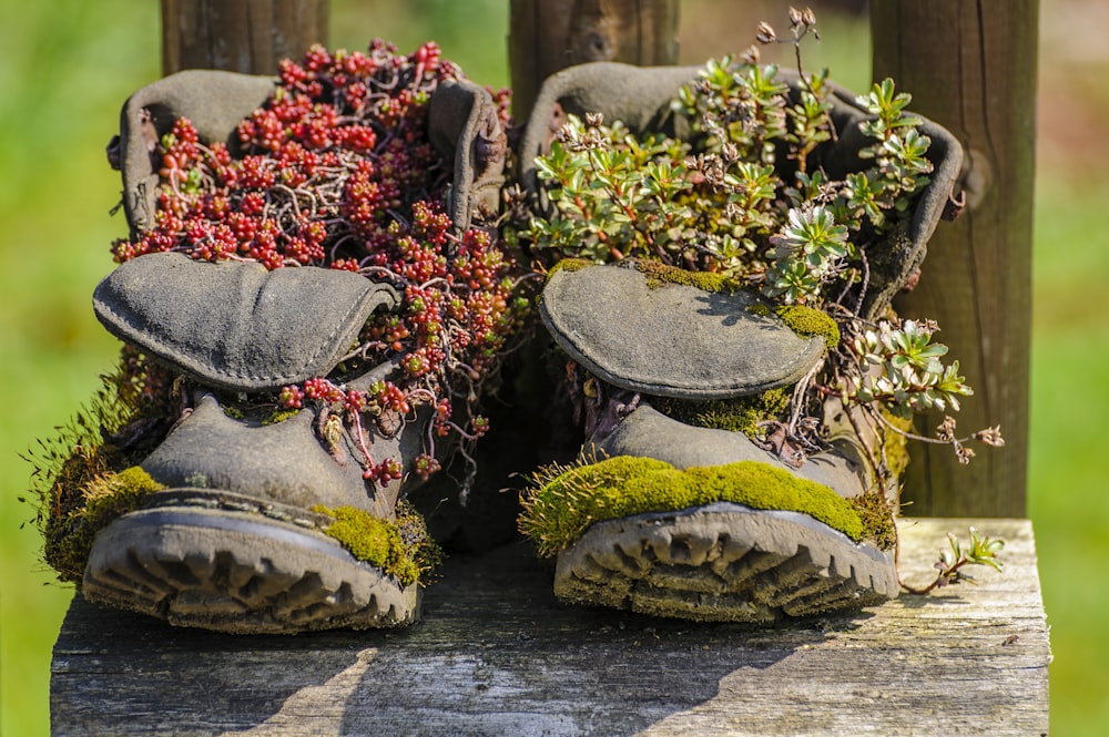 flowers on boots