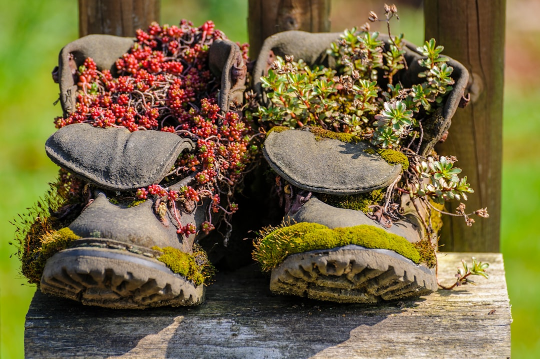 flowers on boots