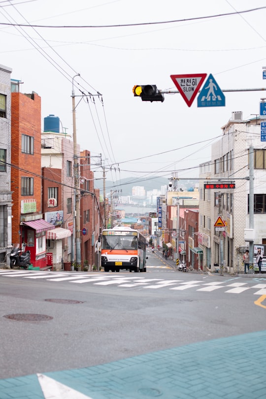 white bus on road in Busan South Korea